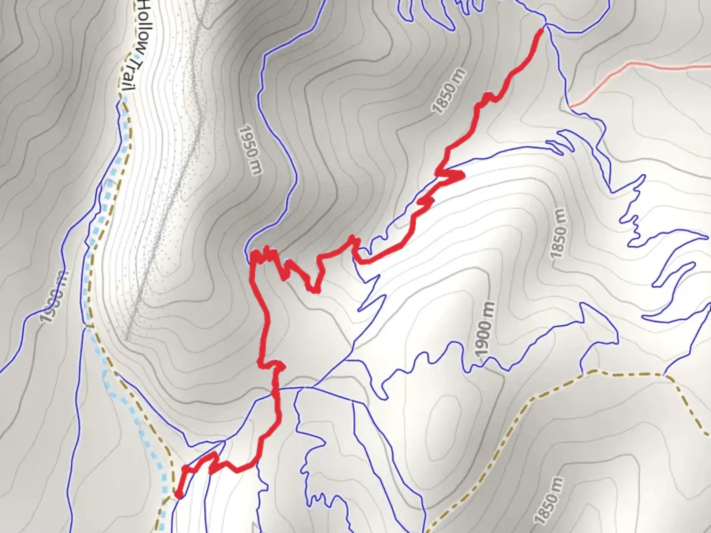 An image depicting the trail Enchanted Forest Walk and its surrounding area.