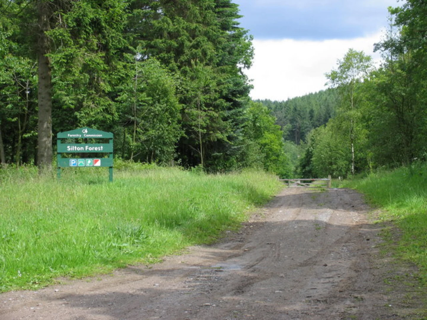 An image depicting the trail Silton Forest Loop and its surrounding area.