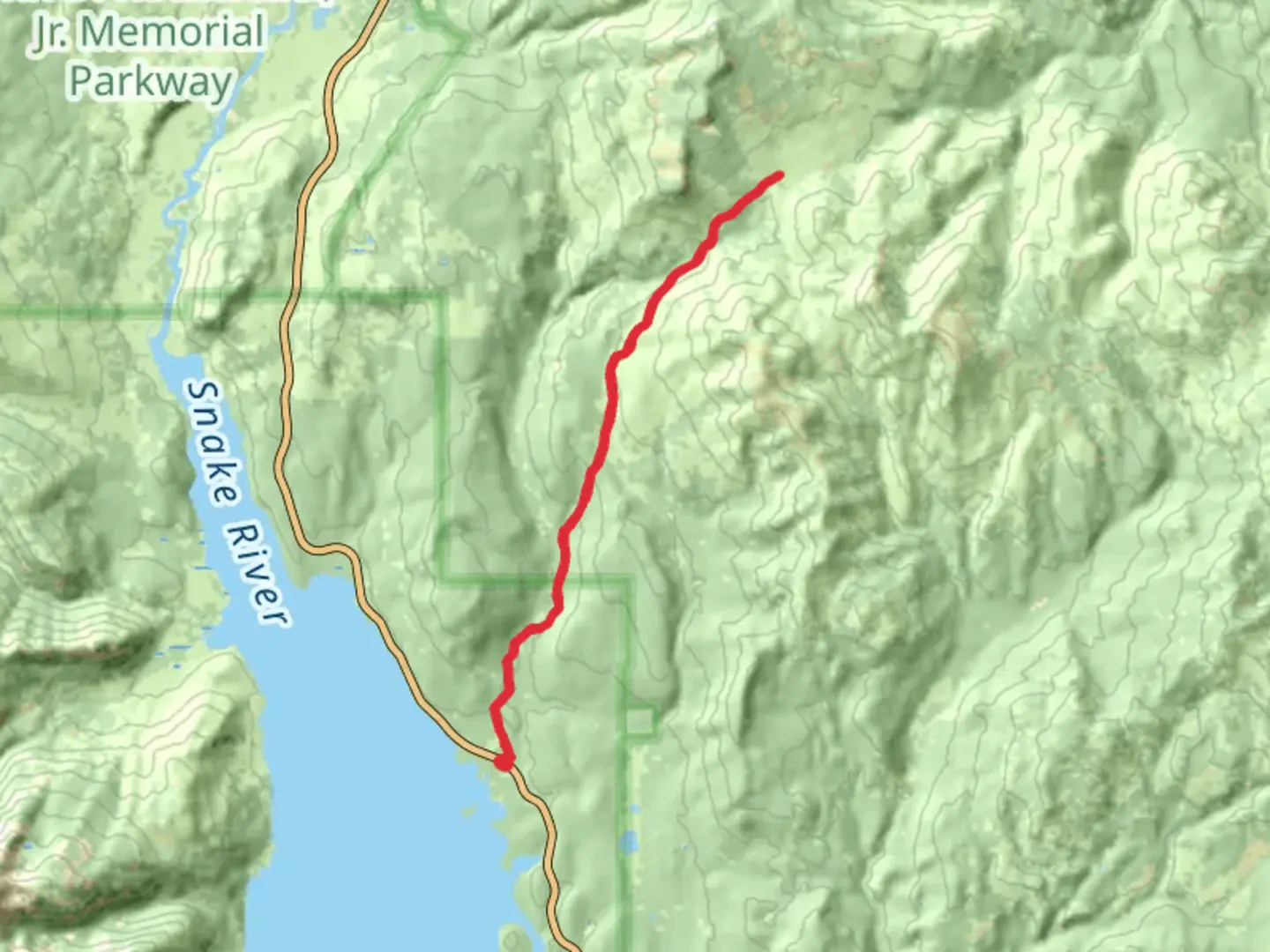 An image depicting the trail Arizona Creek Trail and its surrounding area.