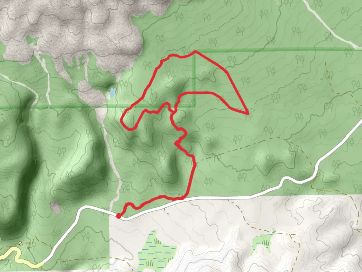 An image depicting the trail Sasquatch Middle Leg Loop Trail and its surrounding area.