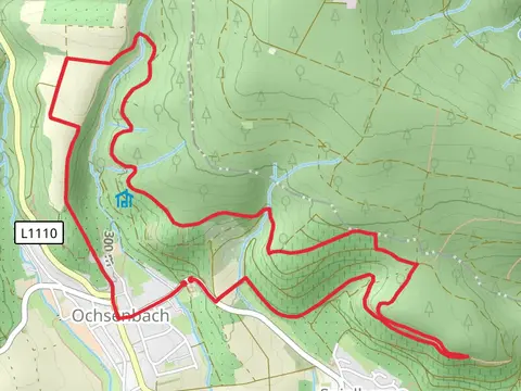 Ochsenbach Rundwanderweg Loop