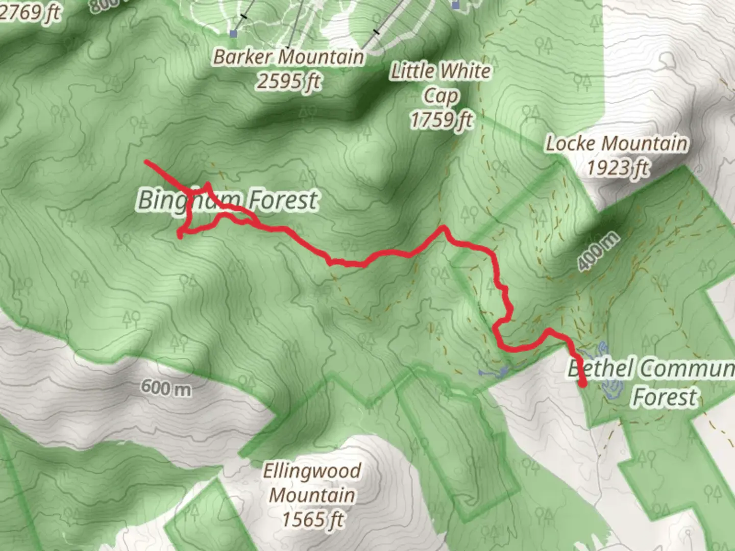 An image depicting the trail Chapman Brook from Locke Mountain Road and its surrounding area.