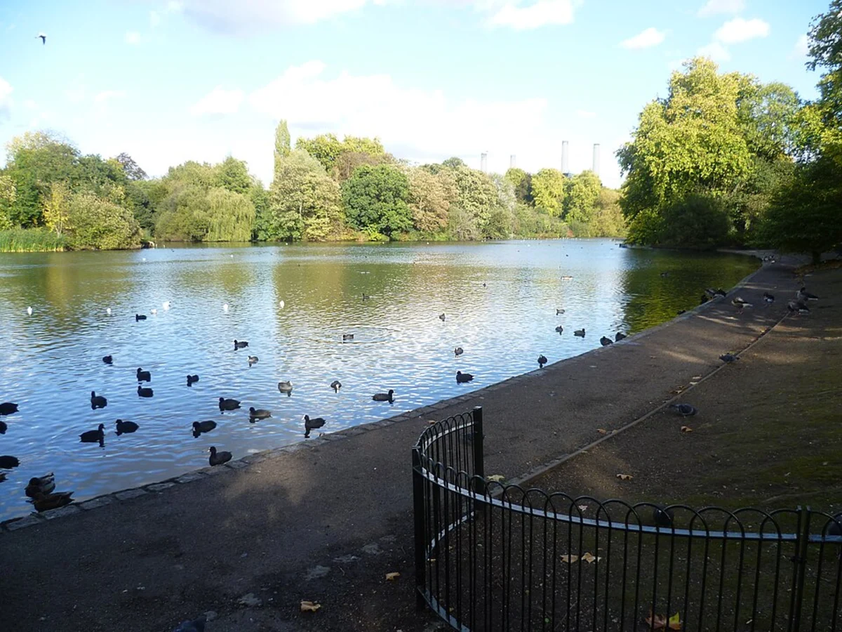 Battersea Park to Sloane Square Loop