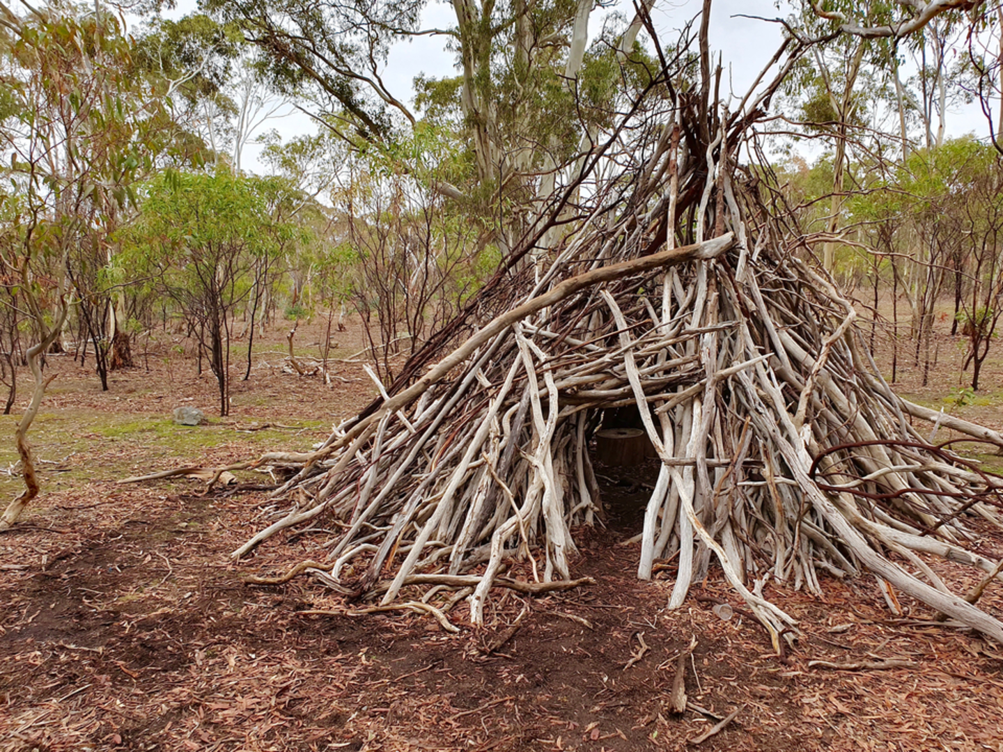 An image depicting the trail Para Wirra Scenic Loop Track and its surrounding area.