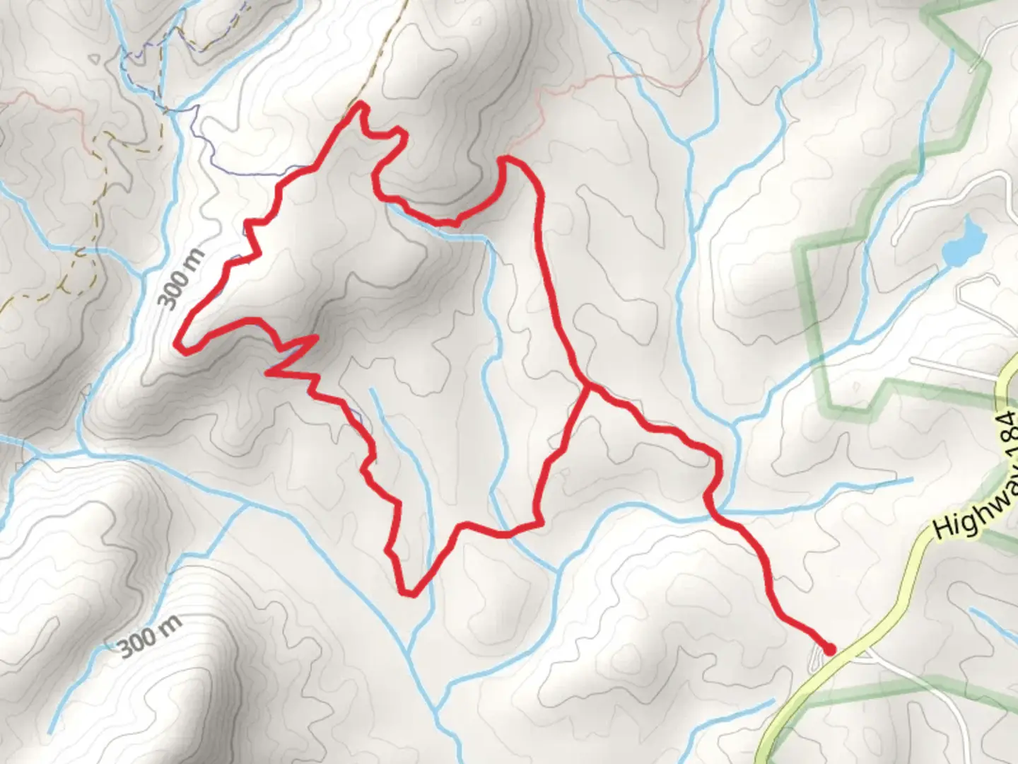An image depicting the trail Leatherwood Creek and Frady Branch Trail System Loop and its surrounding area.