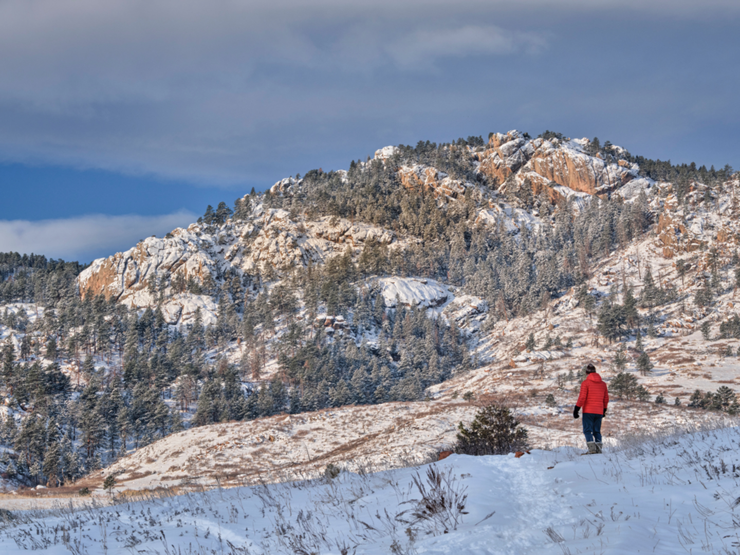 An image depicting the trail Arthur's Rock Trail and its surrounding area.