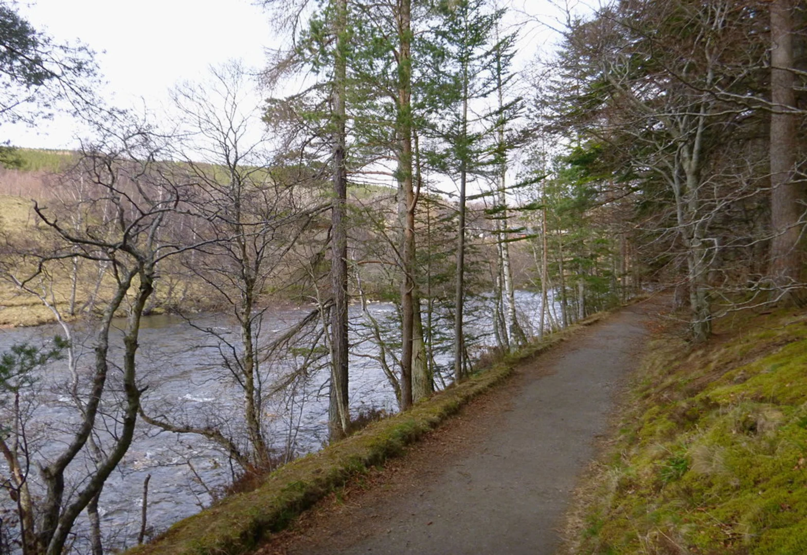 An image depicting the trail Balmoral Castle Loop from Crathie and its surrounding area.