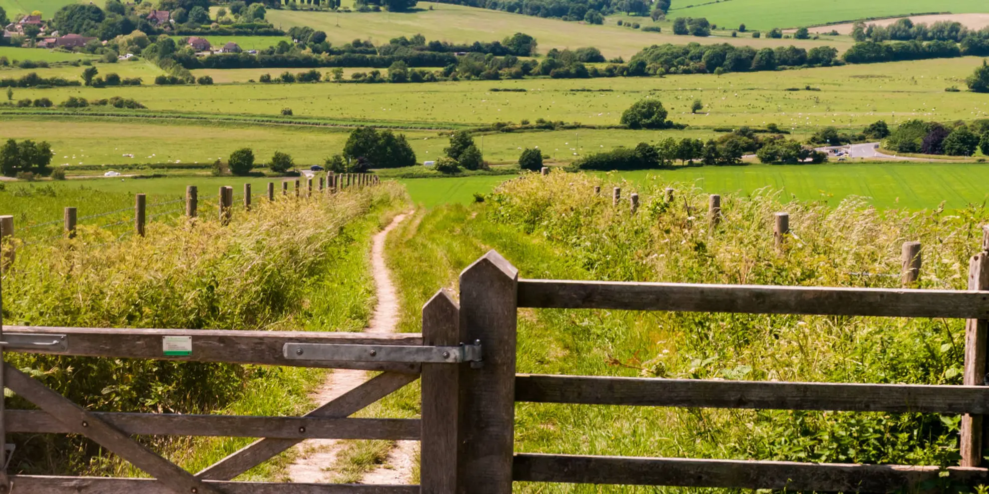 An image depicting the trail Upper Beeding to Washington by the South Downs Way and its surrounding area.
