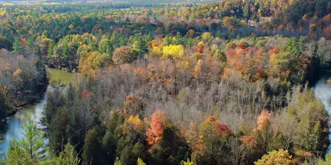 An image depicting the trail North Country Trail - Manistee River Trail Loop and its surrounding area.