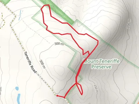 Teneriffe Road Loop