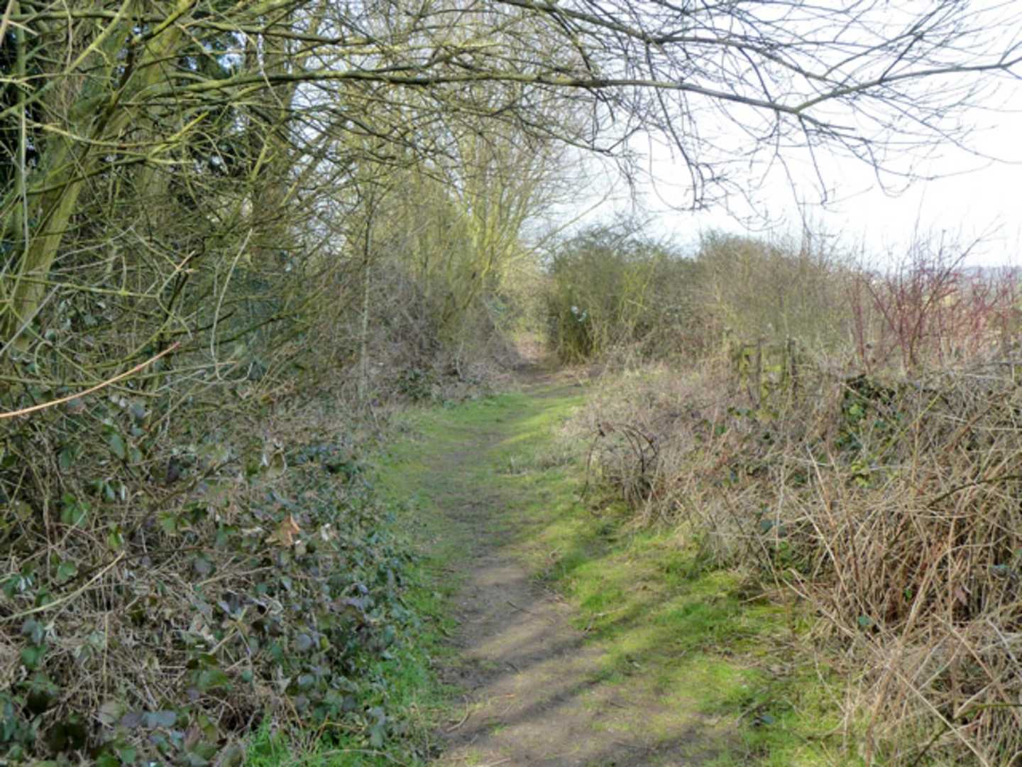 An image depicting the trail Chigwell Row and Abridge Loop and its surrounding area.