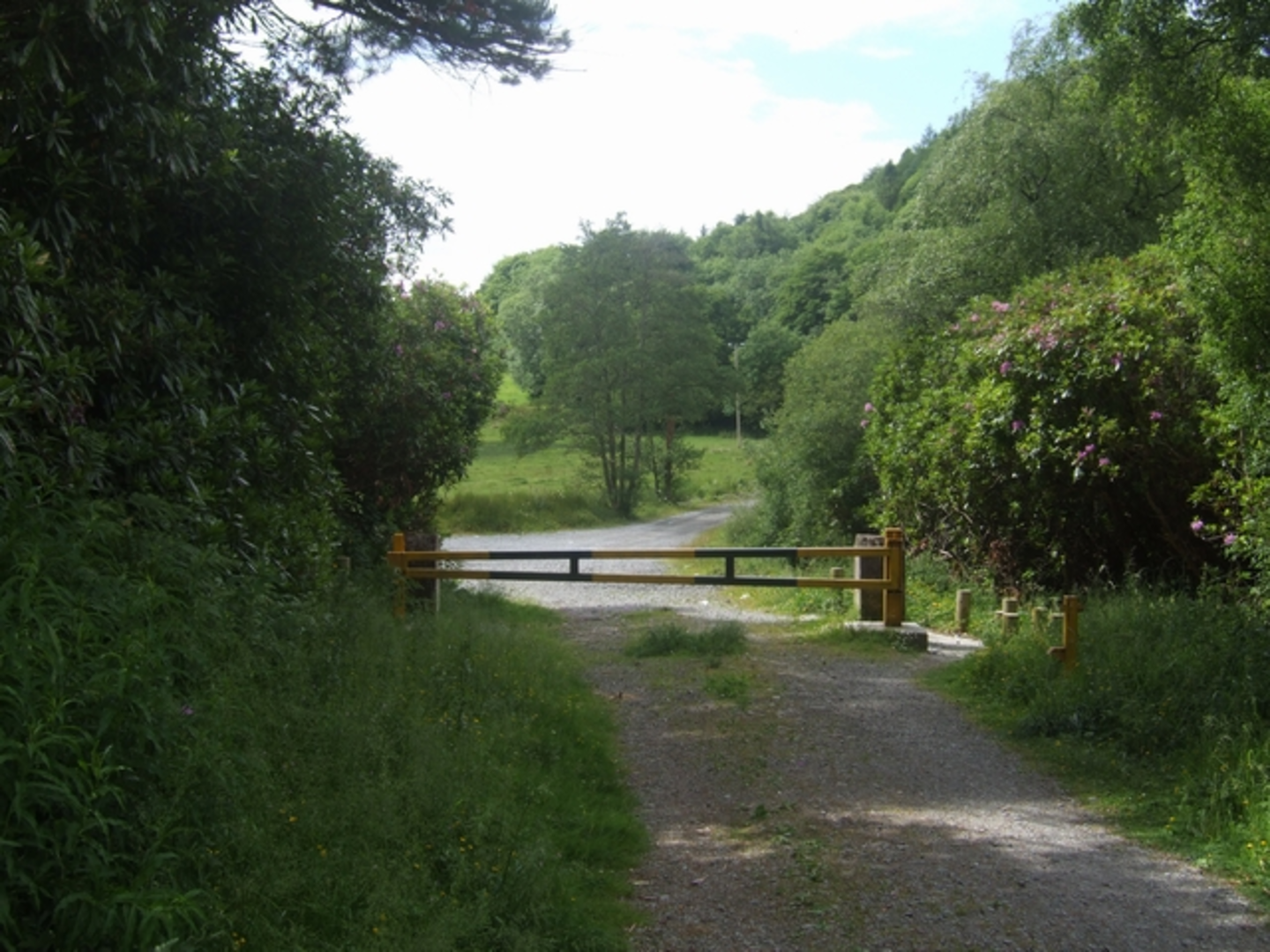 An image depicting the trail Deerpark - Court Tomb Trail and its surrounding area.