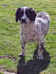 Paul McIntosh avatar