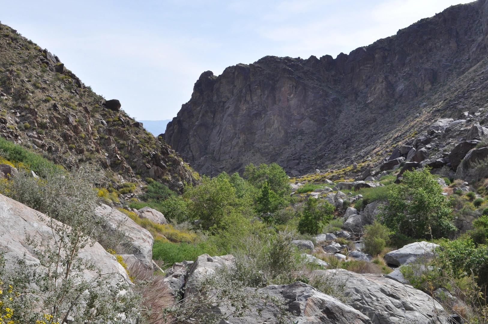 An image depicting the trail Tahquitz Falls - Tahquitz Canyon Trail and its surrounding area.