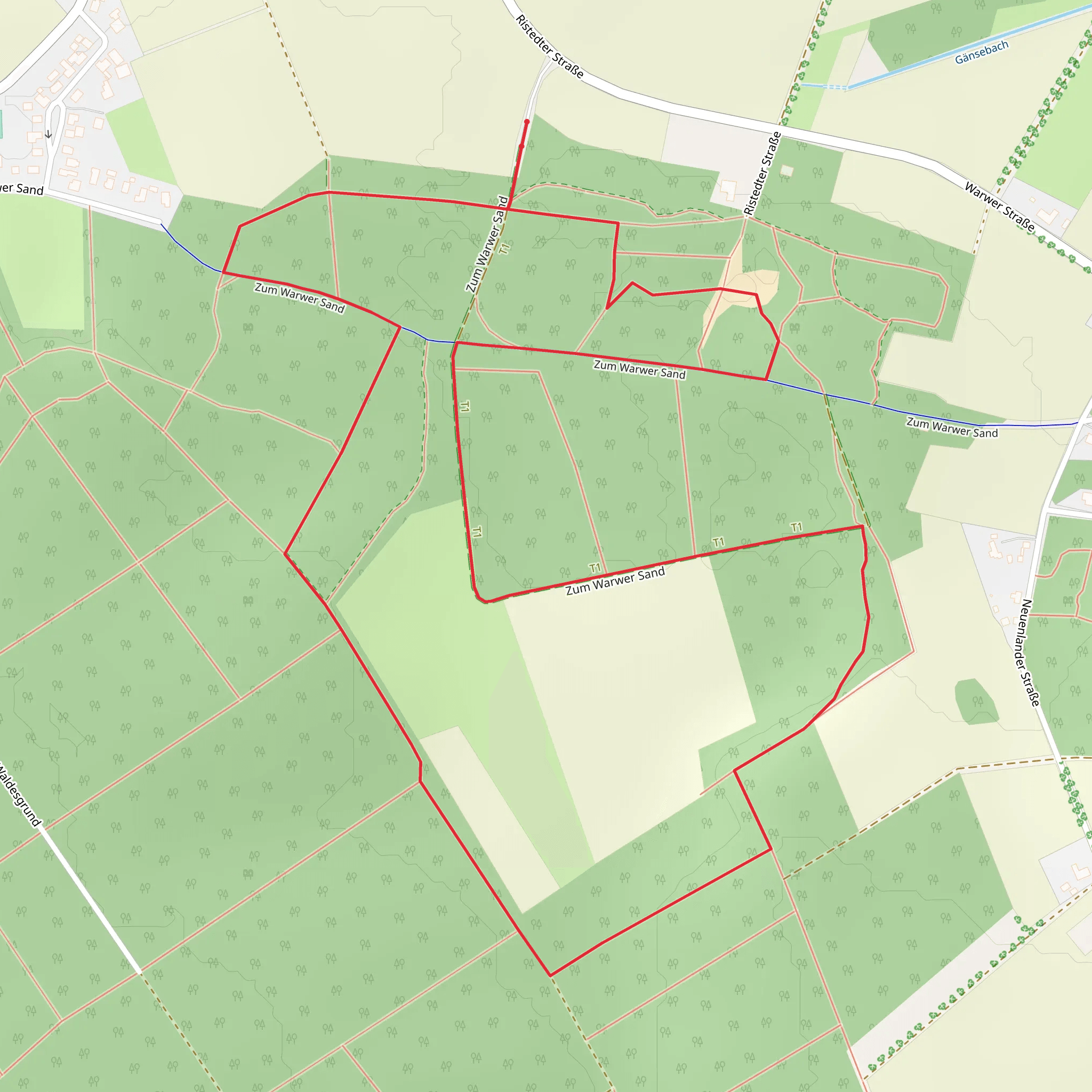 Bradenholz Loop mobile static map