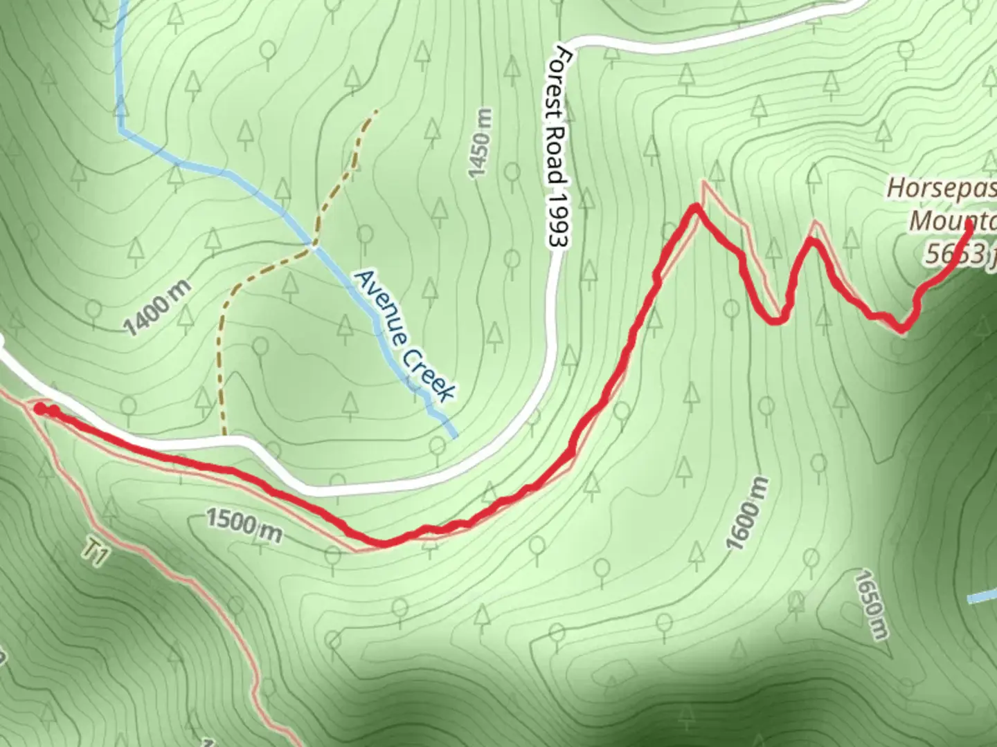 An image depicting the trail Horsepasture Mountain Trail and its surrounding area.