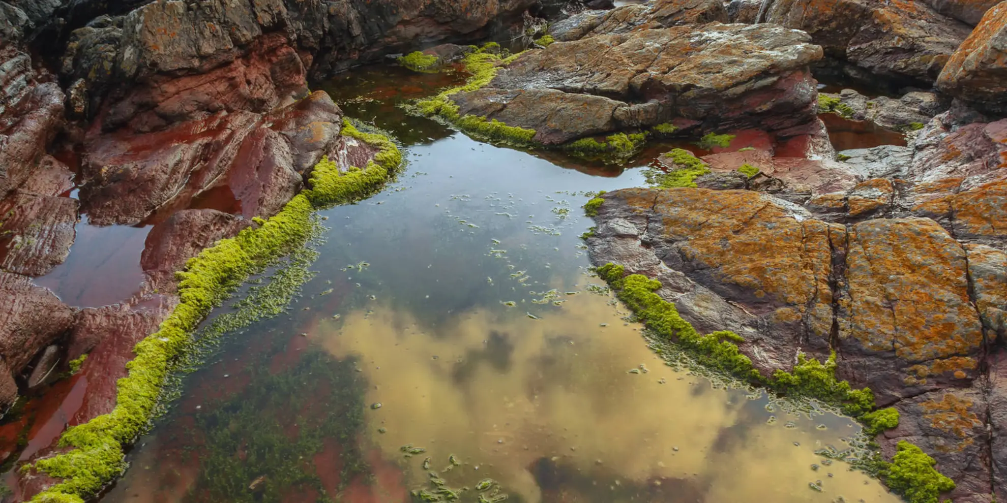 An image depicting the trail Wembury Point Walk and its surrounding area.