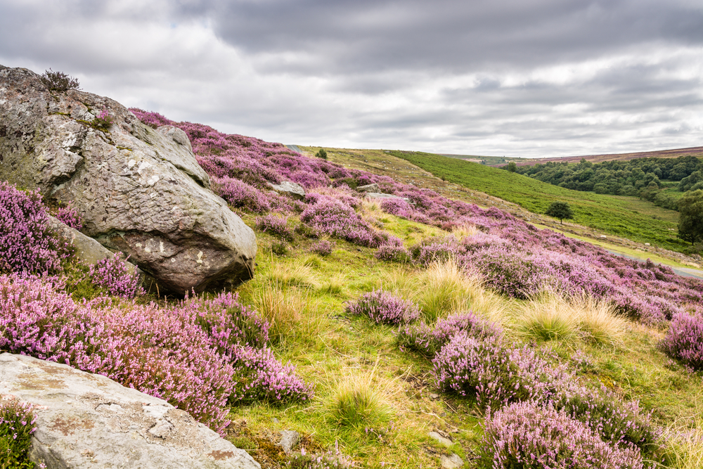 An image depicting the trail North York Moors National Park and its surrounding area.