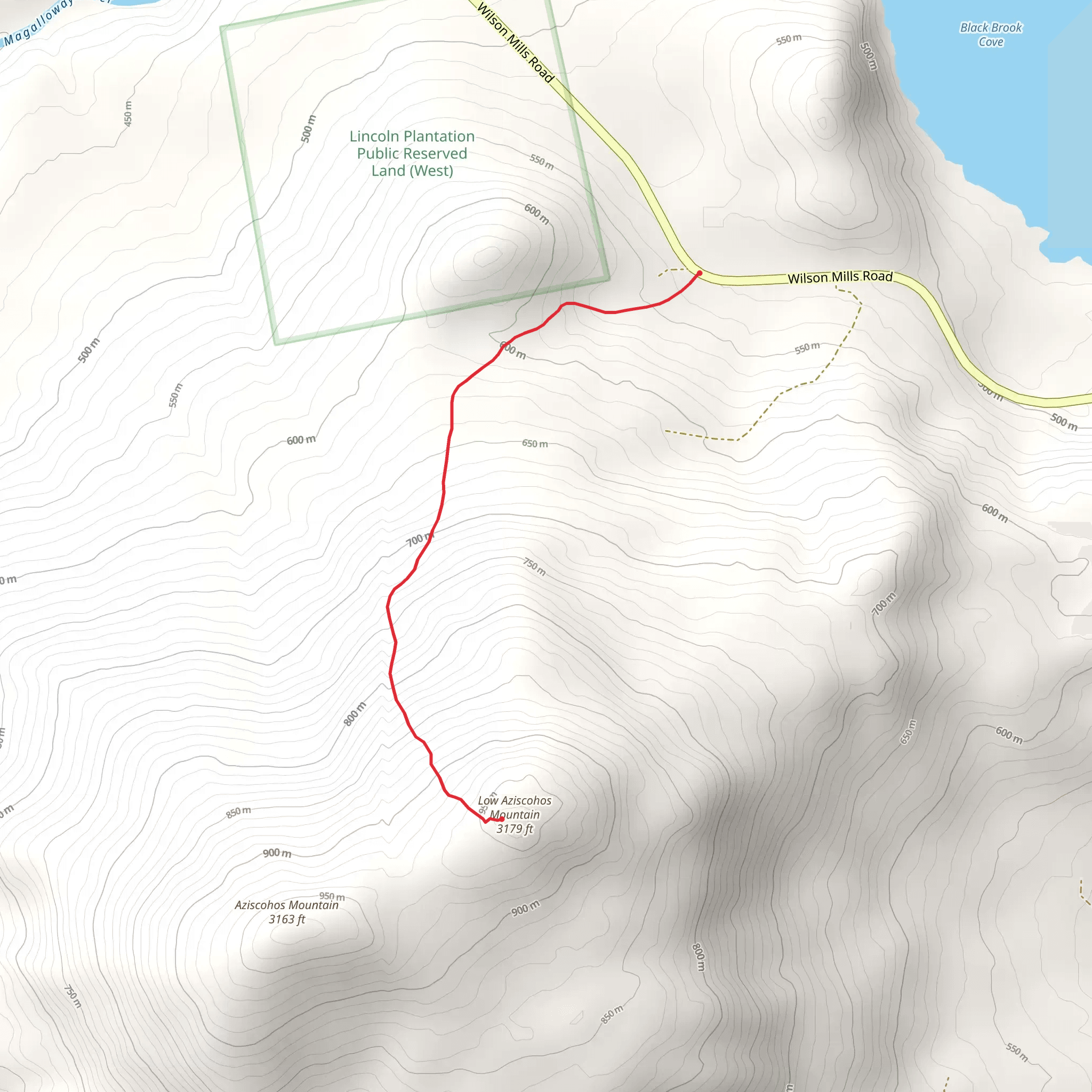 Low Aziscohos Mountain from Wilson Mills Road mobile static map
