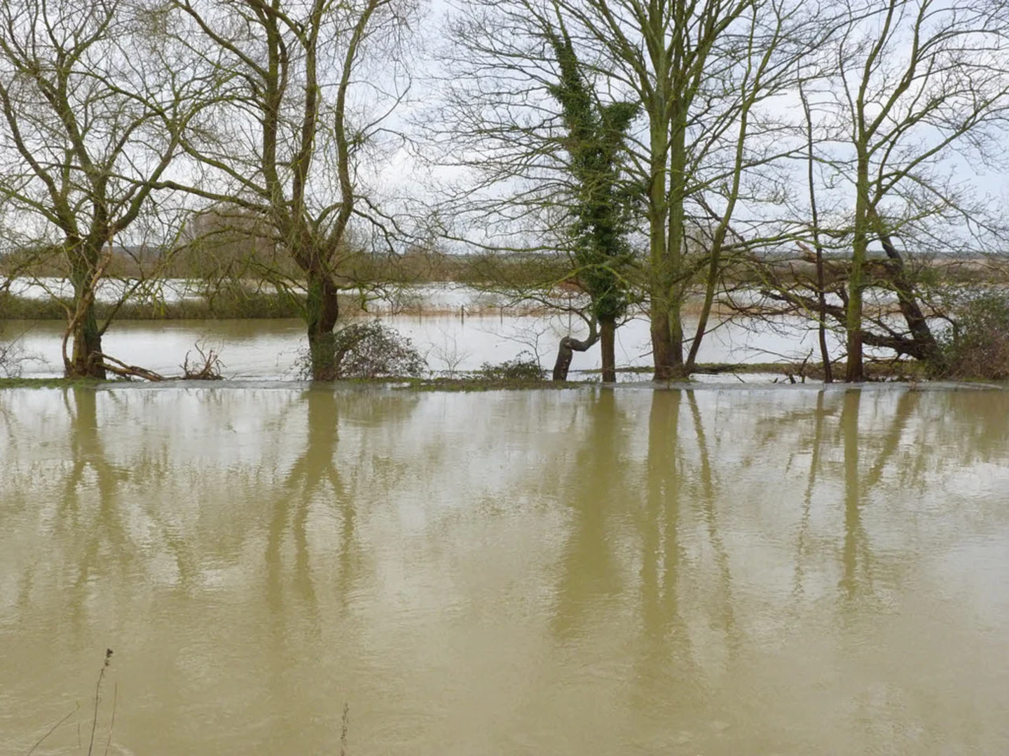 An image depicting the trail Water Newton Loop and its surrounding area.