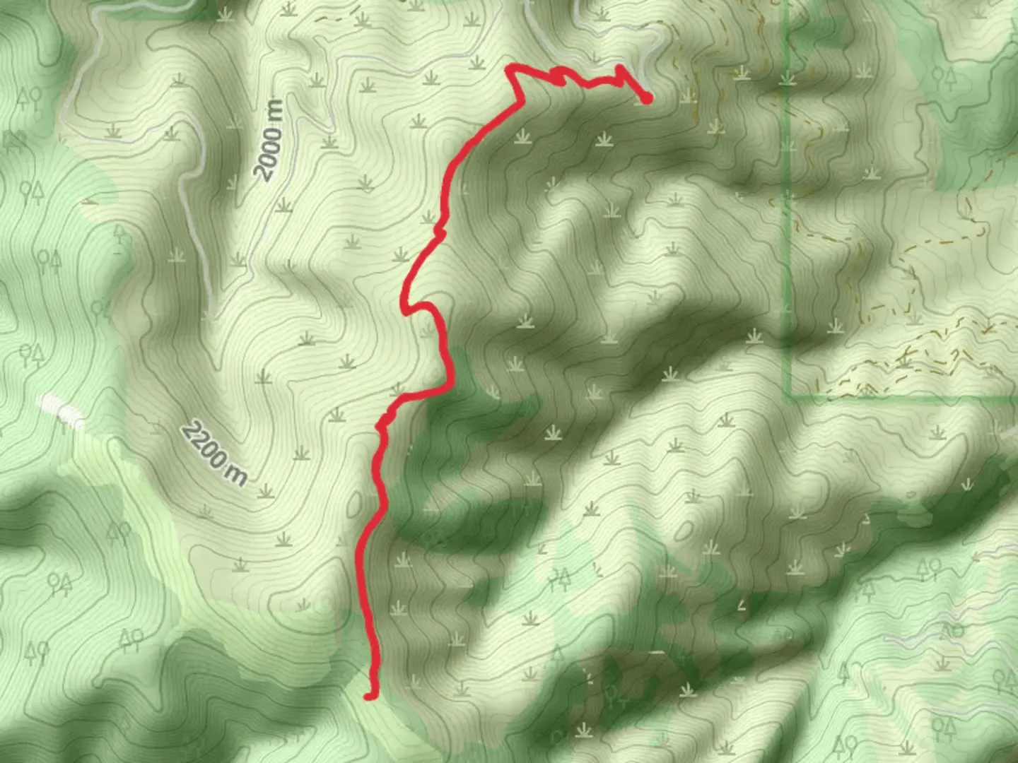 An image depicting the trail Andrews Creek Trail and its surrounding area.