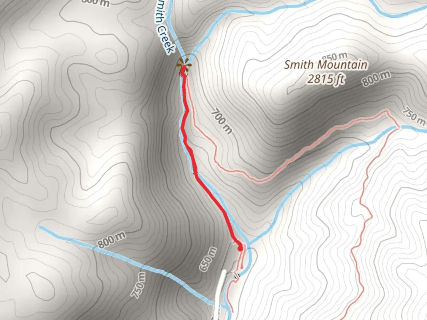 An image depicting the trail Anna Ruby Falls and its surrounding area.