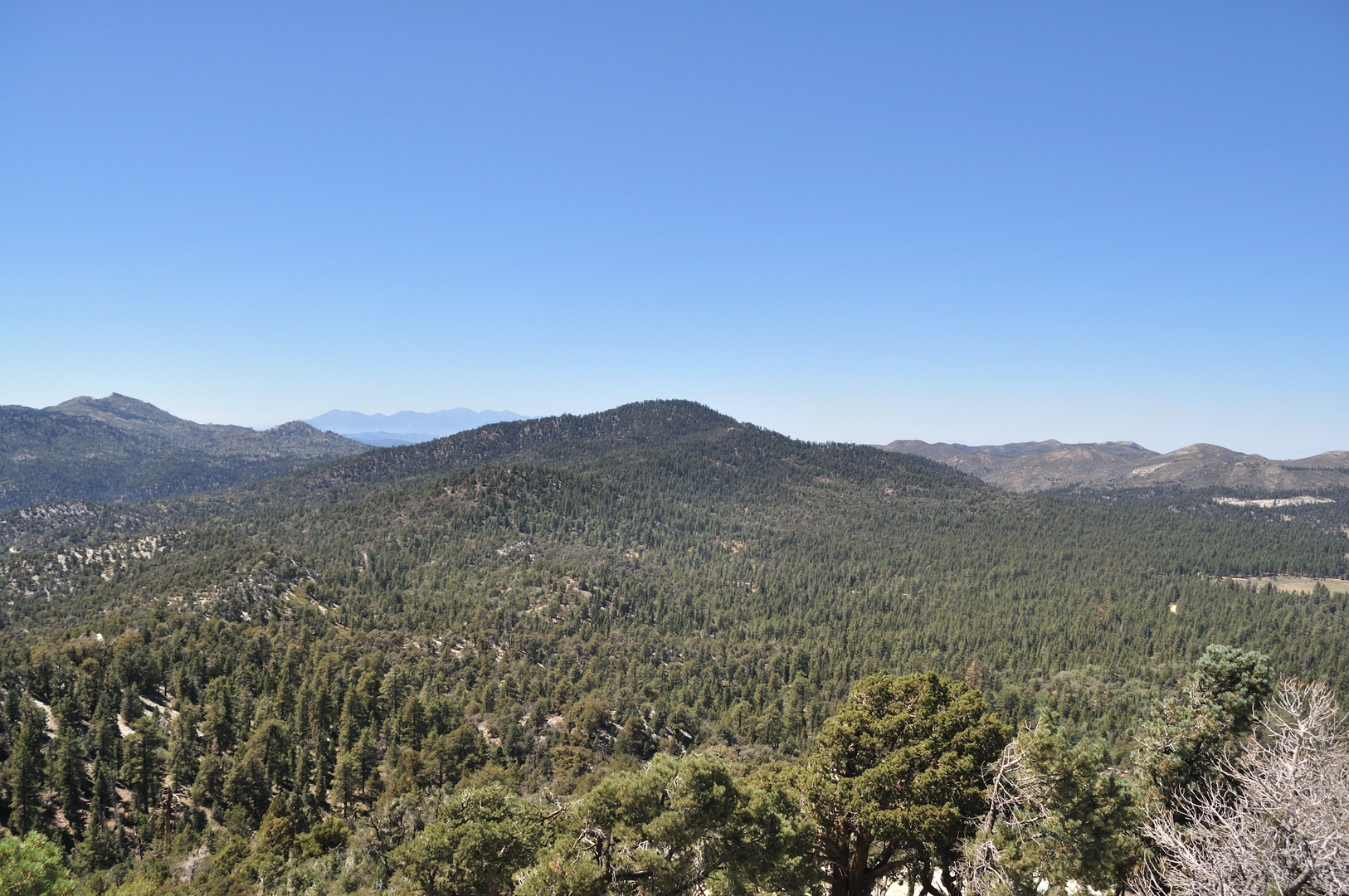 An image depicting the trail Delamar Mountain via Pacific Crest Trail and its surrounding area.