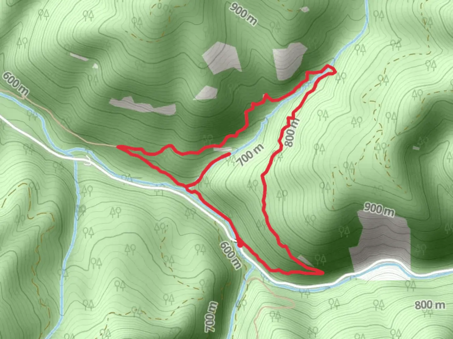 An image depicting the trail Trestle Creek and Brice Creek Loop Trail and its surrounding area.