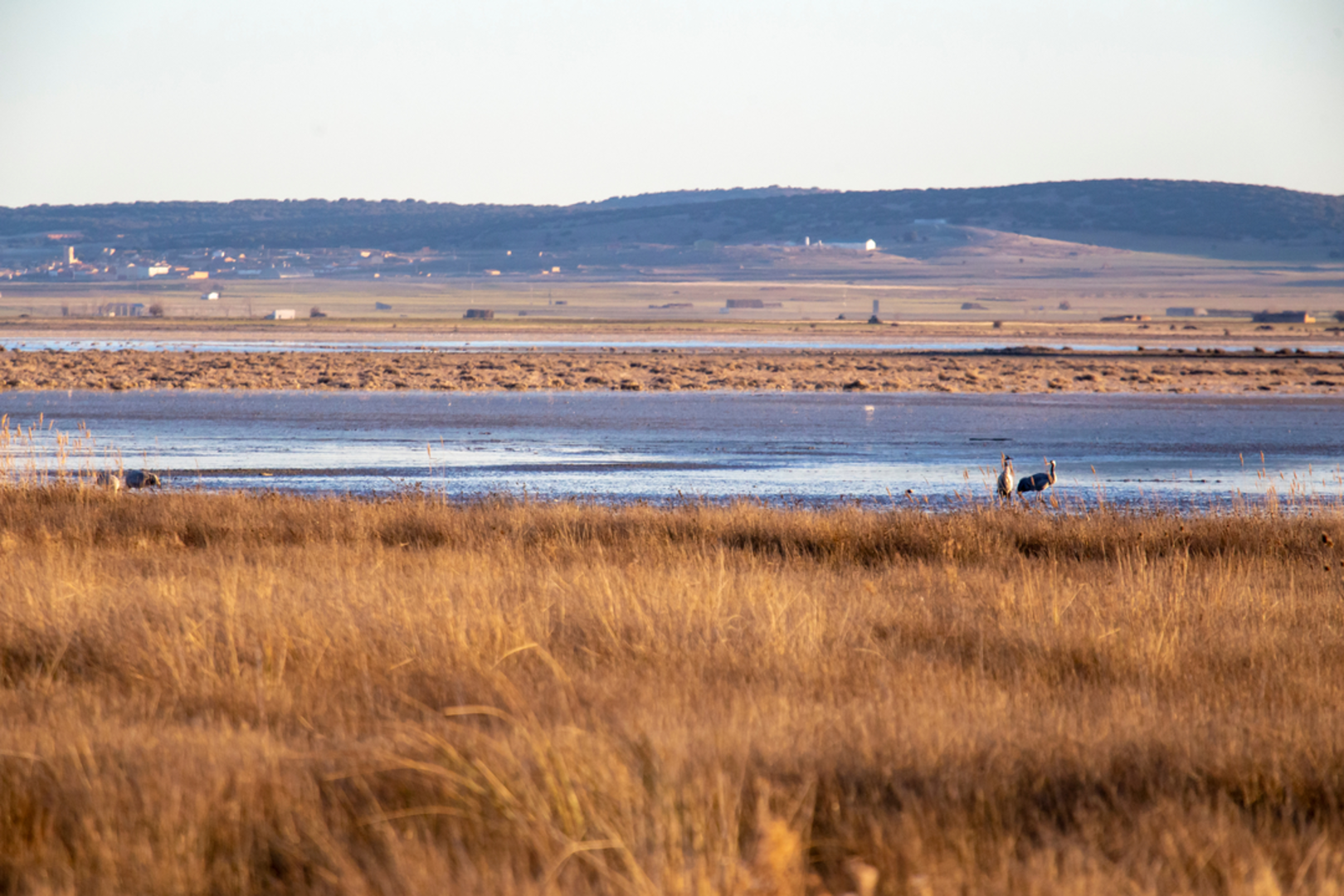 An image depicting the trail Las Cuerlas - Torralba de los Sisones PR Z 18 and its surrounding area.