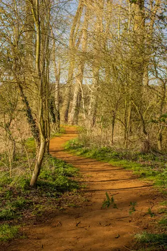 Little Ouse Path