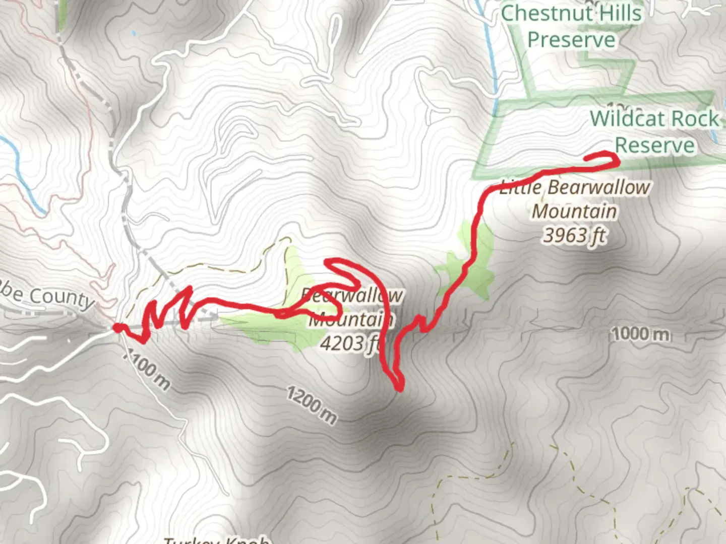 An image depicting the trail Bearwallow Mountain Trail and Wildcat Rock Trail and its surrounding area.