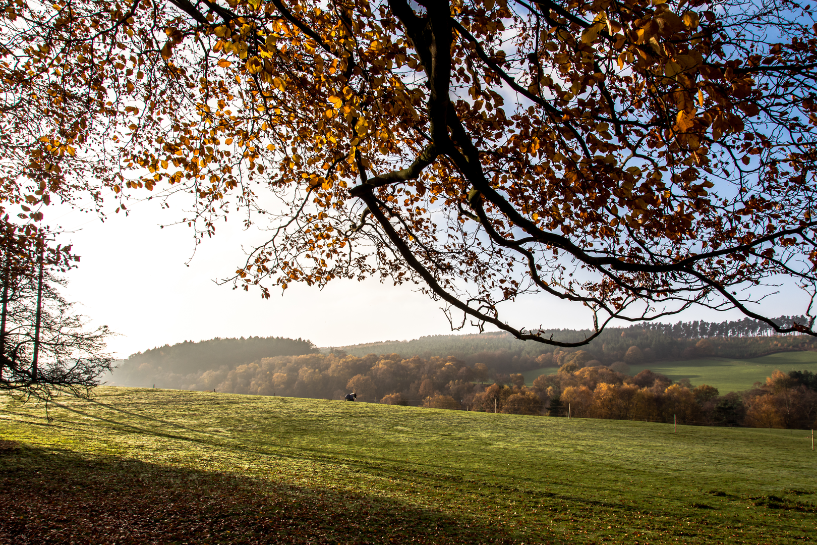An image depicting the trail Way for the Millennium - Staffordshire and its surrounding area.