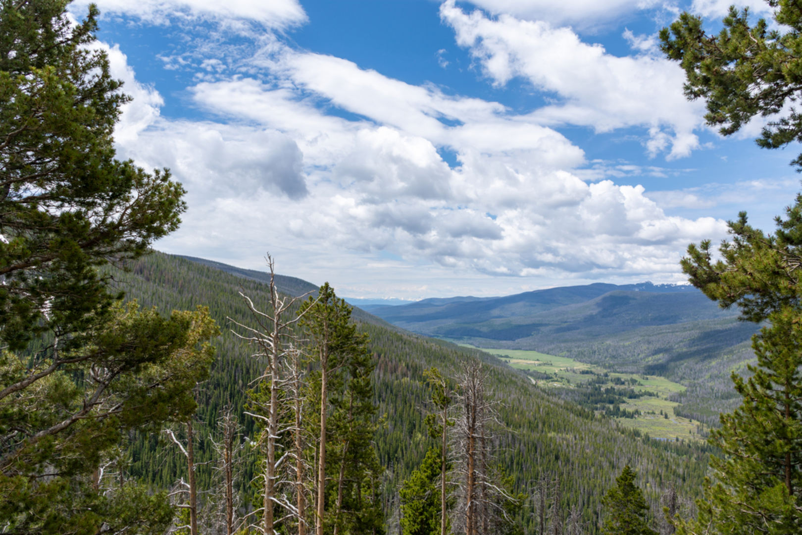 An image depicting the trail Timber Lake Trail and its surrounding area.