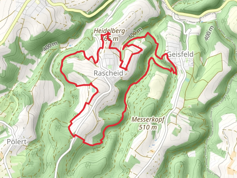 Rascheid Loop via Heidelberg