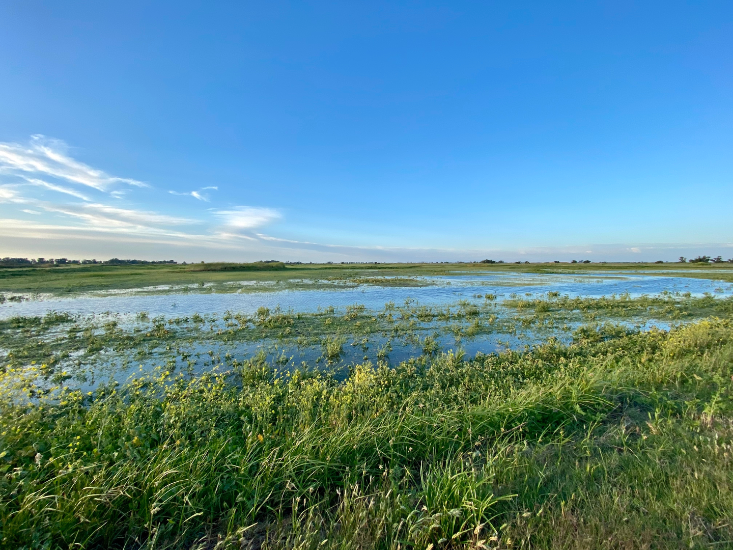 An image depicting the trail Kestrel Loop Trail and its surrounding area.