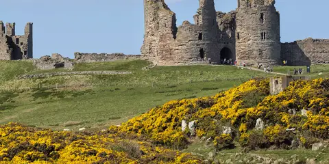 An image depicting the trail St Oswald's Way and its surrounding area.