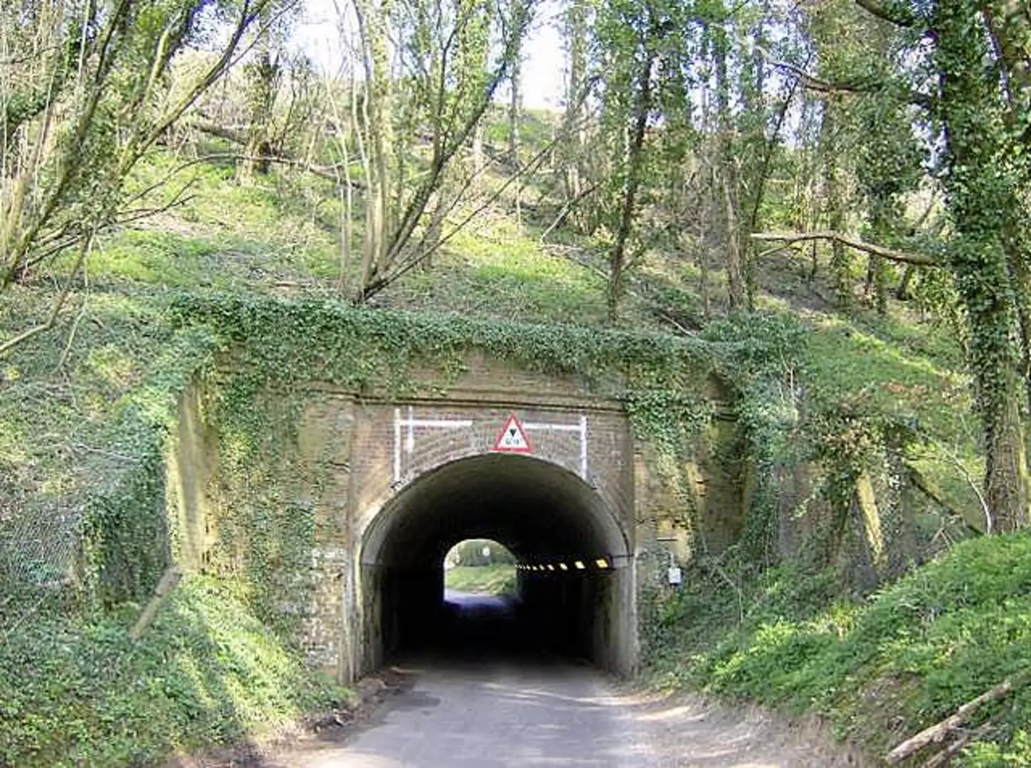An image depicting the trail Quintan's Plantation and Steventon Park Loop and its surrounding area.
