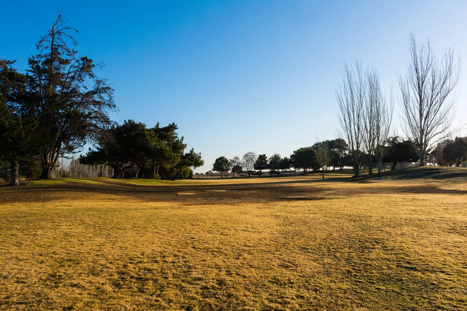 An image depicting the trail San Francisco Bay and Adobe Creek Loop Trail and its surrounding area.