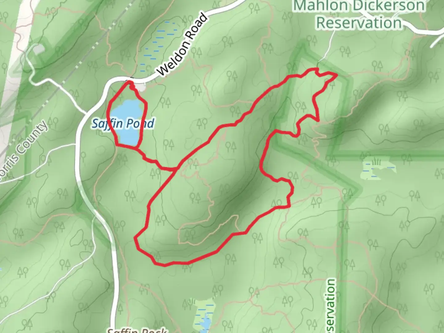 An image depicting the trail Saffin Pond, Teal and Yellow Dot Loop Trail and its surrounding area.