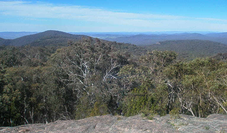 An image depicting the trail Woomargama National Park and its surrounding area.