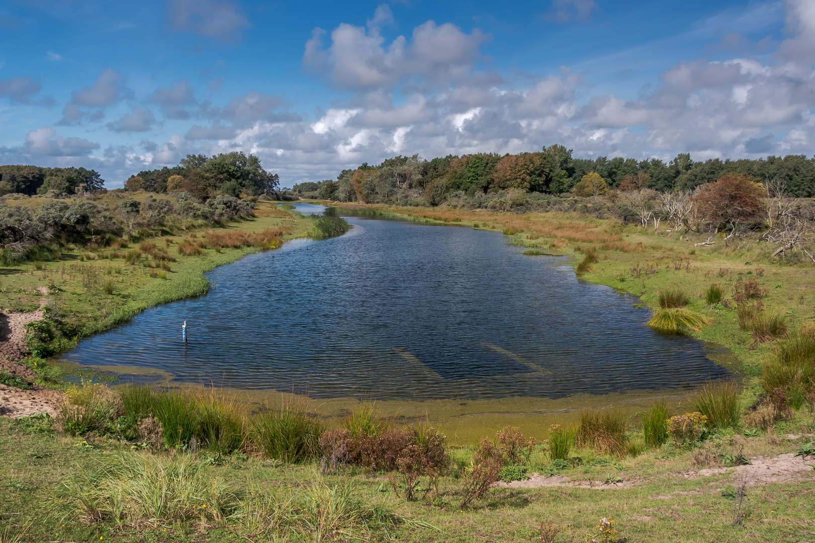 An image depicting the trail Zwarteveld and Duizendmeterweg Loop and its surrounding area.