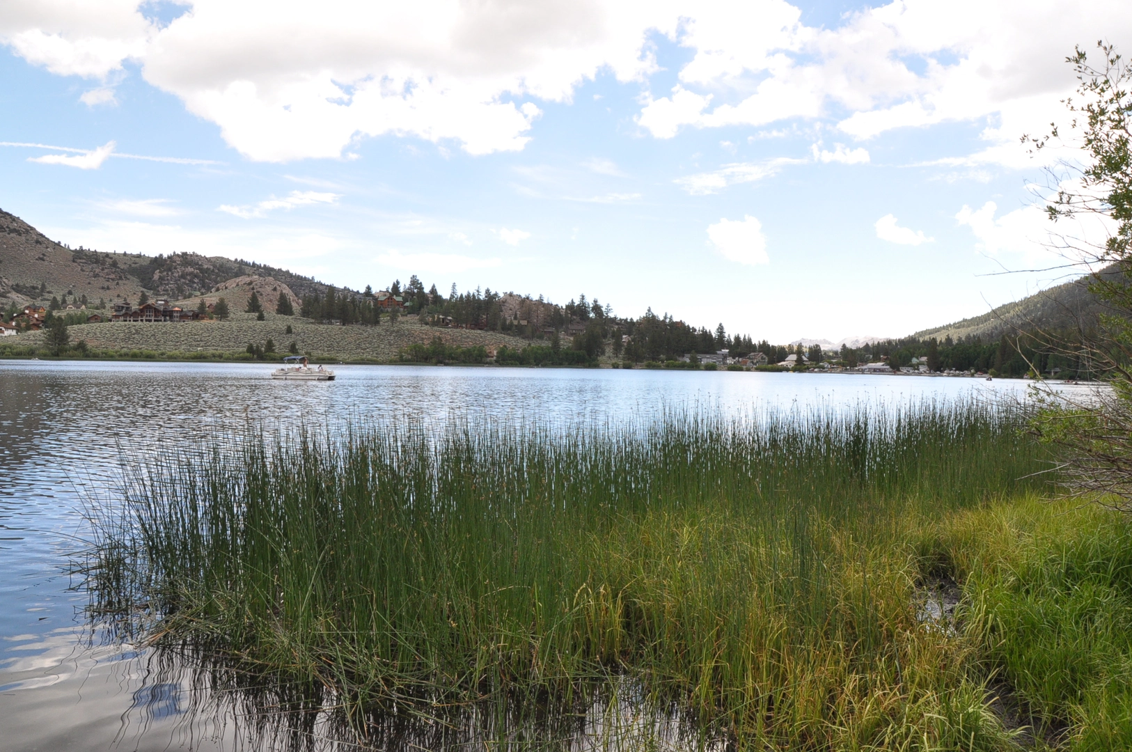An image depicting the trail Gull Lake Park Loop and its surrounding area.