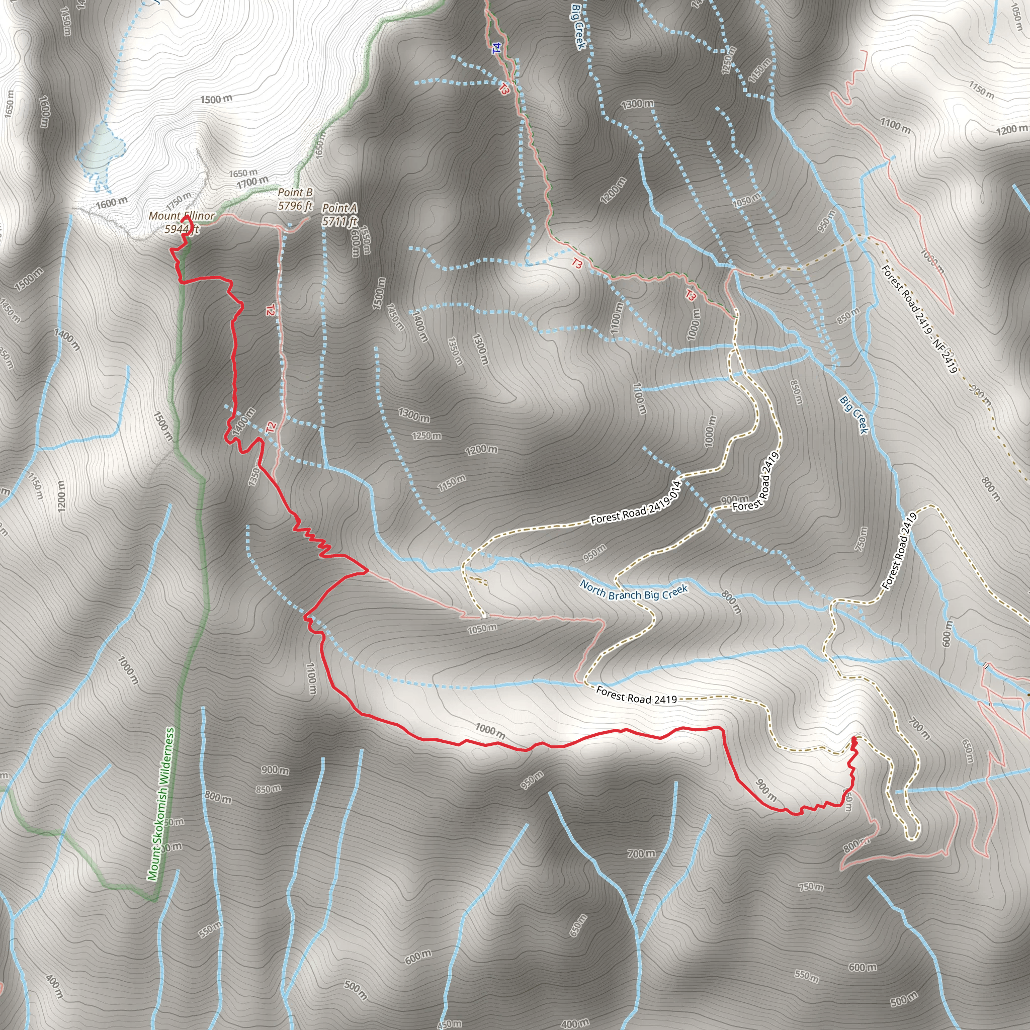 Mt Ellinor Access Trail mobile static map