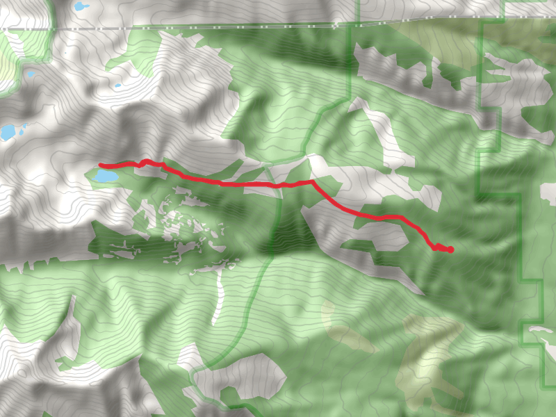 Peterson Lake via Holloway Lake Trail