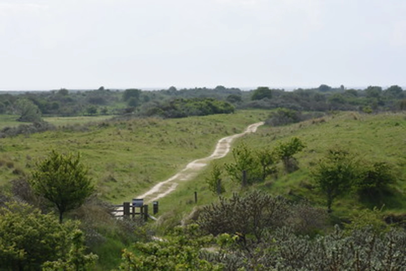 An image depicting the trail Gibraltar Point National Nature Reserve Loop and its surrounding area.