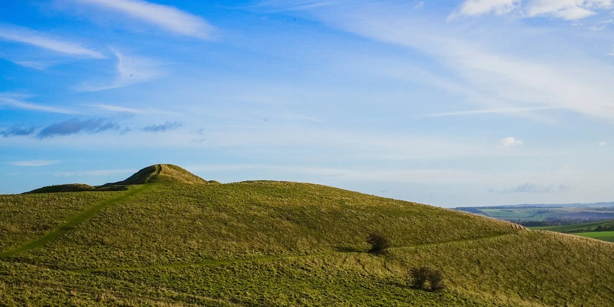An image depicting the trail Milk Hill the Highest point in Wiltshire and its surrounding area.
