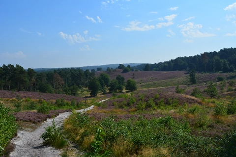 Brunssummerheide and Teverener Heide Loop
