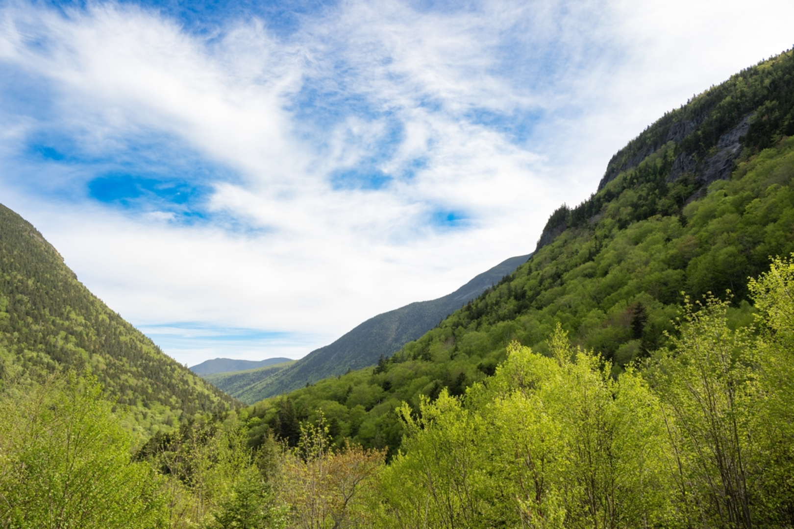 An image depicting the trail Mount Tom Spur via Avalon Trail and its surrounding area.