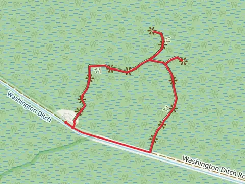 Washington Ditch Boardwalk Loop