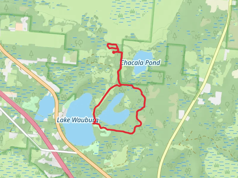 Wacahoota Trail and Sawgrass Pond Loop